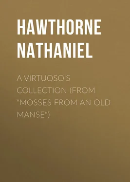 Nathaniel Hawthorne A Virtuoso's Collection (From Mosses from an Old Manse) обложка книги