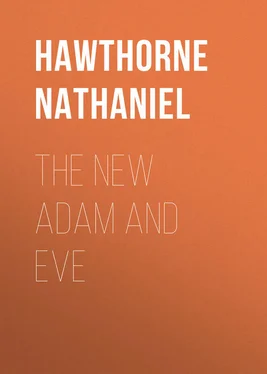 Nathaniel Hawthorne The New Adam and Eve обложка книги