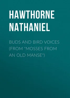 Nathaniel Hawthorne Buds and Bird Voices (From Mosses from an Old Manse) обложка книги