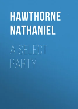 Nathaniel Hawthorne A Select Party обложка книги