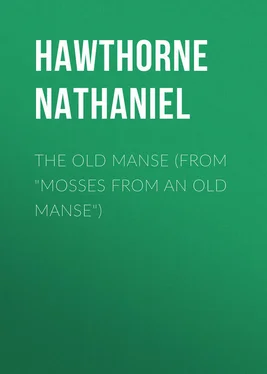 Nathaniel Hawthorne The Old Manse (From Mosses from an Old Manse) обложка книги