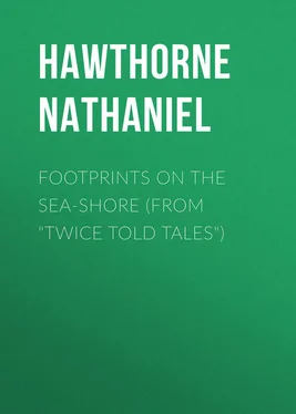 Nathaniel Hawthorne Footprints on the Sea-Shore (From Twice Told Tales) обложка книги