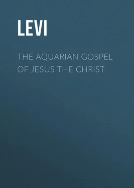 Levi The Aquarian Gospel of Jesus the Christ обложка книги