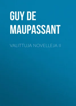 Guy Maupassant Valittuja novelleja II обложка книги