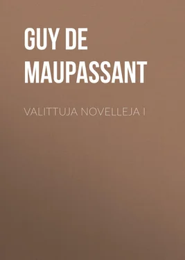 Guy Maupassant Valittuja novelleja I обложка книги