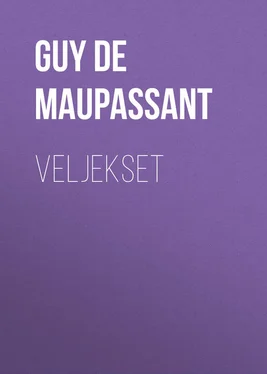 Guy Maupassant Veljekset обложка книги