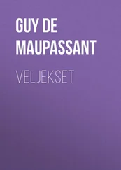 Guy Maupassant - Veljekset