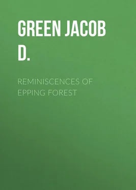 Jacob Green Reminiscences of Epping Forest обложка книги