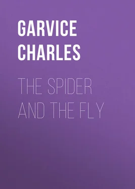 Charles Garvice The Spider and the Fly обложка книги