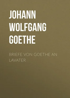 Johann von Goethe Briefe von Goethe an Lavater обложка книги