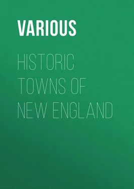 Various Historic Towns of New England обложка книги