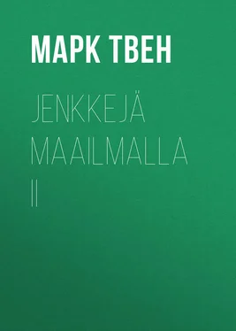 Марк Твен Jenkkejä maailmalla II обложка книги