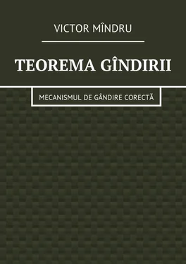 Victor Mîndru Teorema gîndirii. Mecanismul de gândire corectă обложка книги
