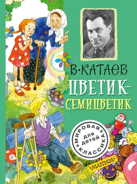 Валентин Катаев Цветик-семицветик (сборник) обложка книги