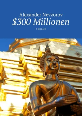 Alexander Nevzorov $300 Millionen. 3 Monate обложка книги