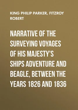 Robert Fitzroy Narrative of the surveying voyages of His Majesty's ships Adventure and Beagle, between the years 1826 and 1836 обложка книги