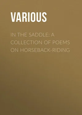 Various In the Saddle: A Collection of Poems on Horseback-Riding обложка книги
