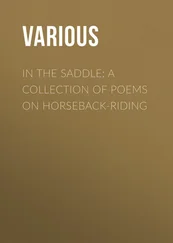 Various - In the Saddle - A Collection of Poems on Horseback-Riding