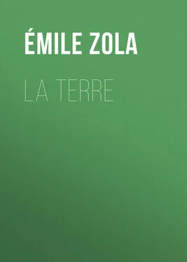 Émile Zola La Terre обложка книги