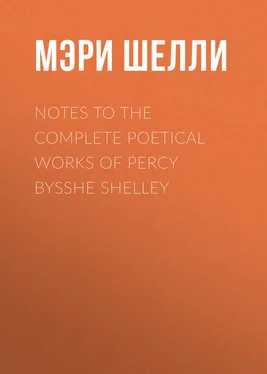 Мэри Шелли Notes to the Complete Poetical Works of Percy Bysshe Shelley обложка книги