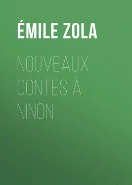 Émile Zola Nouveaux Contes à Ninon обложка книги