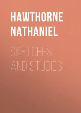 Nathaniel Hawthorne Sketches and Studies обложка книги