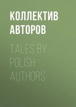 Коллектив авторов Tales by Polish Authors обложка книги