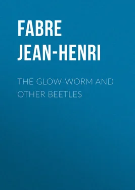 Jean-Henri Fabre The Glow-Worm and Other Beetles обложка книги