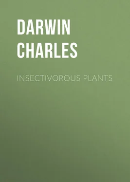Charles Darwin Insectivorous Plants обложка книги