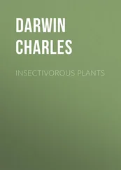 Charles Darwin - Insectivorous Plants