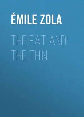 Émile Zola The Fat and the Thin обложка книги