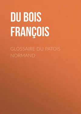 Louis Du Bois Glossaire du patois normand обложка книги