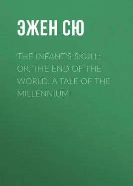 Эжен Сю The Infant's Skull; Or, The End of the World. A Tale of the Millennium обложка книги