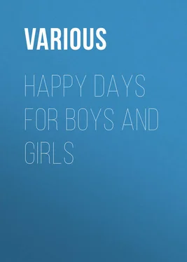 Various Happy Days for Boys and Girls обложка книги
