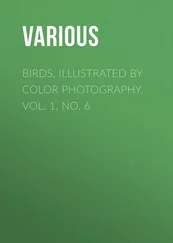 Various - Birds, Illustrated by Color Photography, Vol. 1, No. 6
