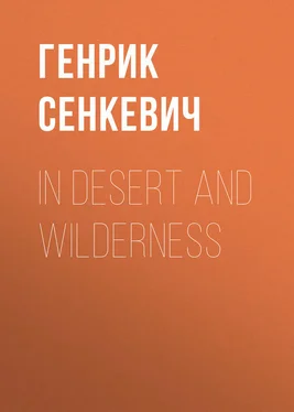 Генрик Сенкевич In Desert and Wilderness обложка книги