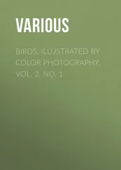 Various - Birds, Illustrated by Color Photography, Vol. 2, No. 1