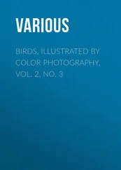 Various - Birds, Illustrated by Color Photography, Vol. 2, No. 3