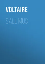Voltaire - Sallimus