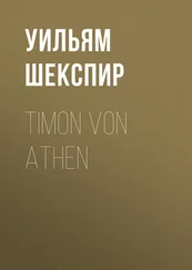 Уильям Шекспир - Timon von Athen