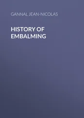 Jean-Nicolas Gannal - History of Embalming