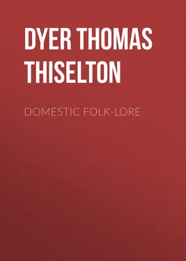 Thomas Dyer Domestic folk-lore обложка книги