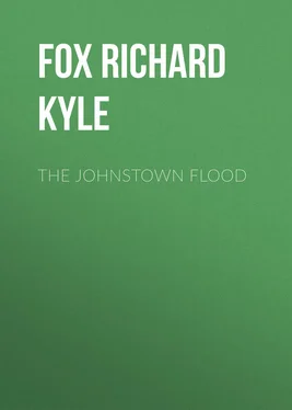 Richard Fox The Johnstown Flood обложка книги