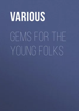 Various Gems for the Young Folks обложка книги