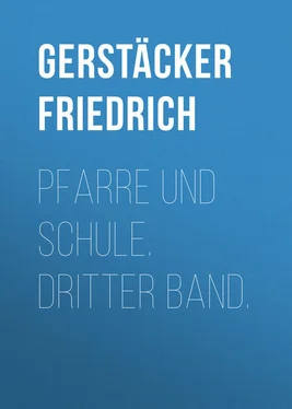 Friedrich Gerstäcker Pfarre und Schule. Dritter Band. обложка книги