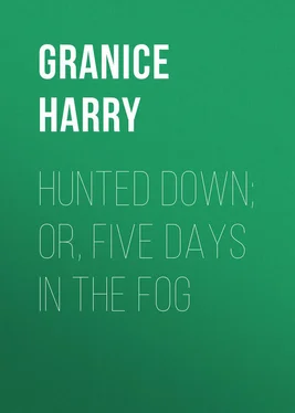 Harry Granice Hunted Down; or, Five Days in the Fog обложка книги