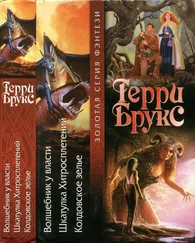 Терри Брукс - Волшебник у власти. Шкатулка Хитросплетений. Колдовское зелье