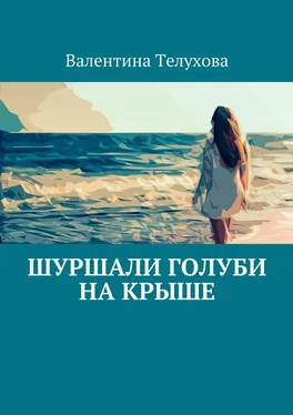 Валентина Телухова Шуршали голуби на крыше обложка книги