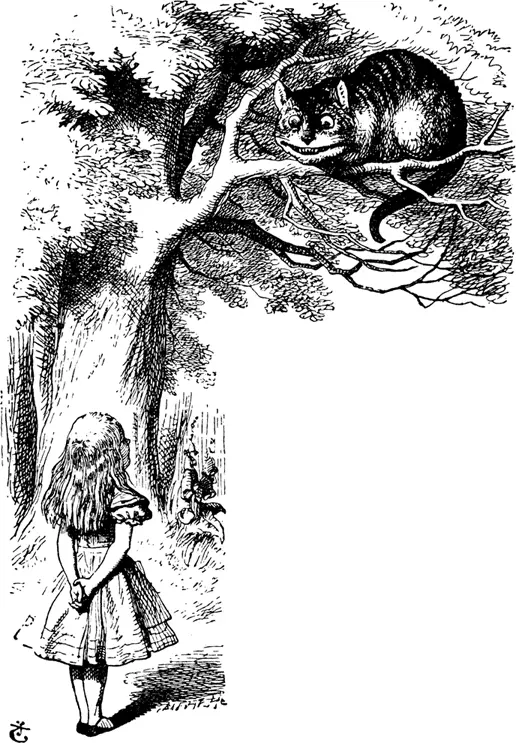 The Cat only grinned when it saw Alice It looked goodnatured she thought - фото 34