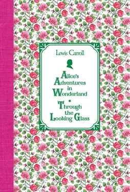 Льюис Кэрролл Алиса в Стране чудес. Алиса в Зазеркалье / Alice's Adventures in Wonderland. Through the Looking Glass обложка книги